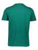cavalli CLASS Shirt in Grün