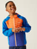 Regatta Hybridjacke "Kielder VIII" in Blau/ Orange
