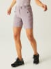 Regatta Funktionsshorts "Mountain II" in Lila