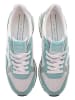 U.S. Polo Sneakers wit/turquoise