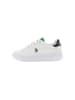 U.S. Polo Assn. Sneakers in Weiß/ Grün