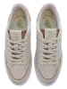 U.S. Polo Assn. Sneakers "Ginger" in Beige