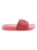 U.S. Polo Slippers rood