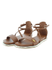 U.S. Polo Sandalen bruin