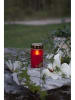 STAR Trading 4-delig set: ledgrafkaarsen "Serene" rood/goudkleurig - (H)12 x Ø 7 cm