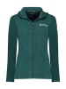 ANAPURNA Fleece vest "Tugoodana" groen