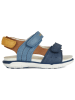 Geox Leder-Sandalen "Delhi" in Dunkelblau