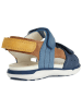 Geox Leder-Sandalen "Delhi" in Dunkelblau