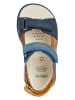 Geox Leder-Sandalen "Delhi" in Dunkelblau