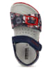 Geox Sandalen "Chalki" in Dunkelblau