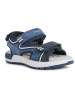 Geox Sandalen "Alben" in Dunkelblau
