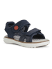 Geox Leren sandalen "Maratea" donkerblauw