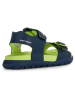 Geox Sandalen "Fusbetto" donkerblauw