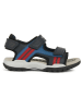 Geox Sandalen "Borealis" zwart