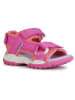 Geox Sandalen "Borealis" in Pink