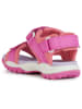 Geox Sandalen "Borealis" in Pink