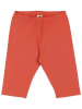 Walkiddy Legginsy w kolorze pomarańczowym