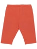 Walkiddy Legginsy w kolorze pomarańczowym