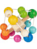 Goki Greifling ''Ellipsoid Regenbogen'' - ab Geburt