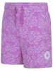 Converse Short paars