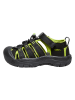 Keen Wandersandalen "Newport H2 C" in Schwarz/ Grün