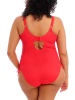 Elomi Badeanzug in Rot