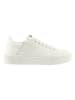 Högl Leder-Sneakers "Blade" in Weiß