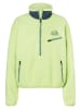 Marmot Fleecepullover "E.C.O." in Grün