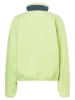 Marmot Fleecepullover "E.C.O." in Grün