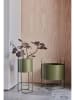 OYOY living design Pflanzenständer ''Maki'' in Oliv - (B)24 x (H)55 x (T)22 cm
