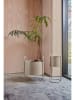 OYOY living design Pflanzenständer ''Maki'' in Beige - (B)24 x (H)55 x (T)22 cm