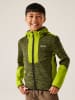 Regatta Fleecejacke ''DissolverX'' in Grün