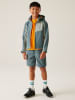 Regatta Softshelljas "AcidityVIII'' grijs