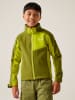 Regatta Softshelljacke ''AcidityVIII'' in Grün