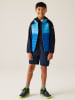 Regatta Hybride jas "HybridIX" blauw