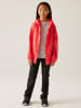 Regatta Funktionsjacke ''Lever II'' in Pink