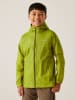 Regatta Funktionsjacke ''Pack it'' in Grün
