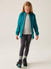 Regatta Funktionsjacke ''Pack it'' in Türkis