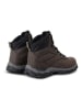 Regatta Wandelboots "Holcombe" bruin