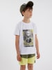 Timberland Badeshorts in Khaki / Gelb