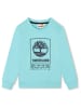 Timberland Sweatshirt lichtblauw