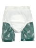 Lässig Badeshorts in Grün/ Grün