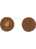 Die Spiegelburg Fossil zum Selbermachen "Lenny Hunter" - ab 6 Jahren (Überraschungsprodukt)