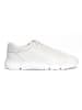 Geox Leder-Sneakers "Adacter" in Creme