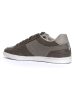 Geox Sneakers "Walee" in Grau