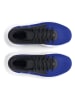 Under Armour Buty "Lockdown 7" w kolorze niebiesko-czarnym do koszykówki