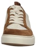 Paul Green Leder-Sneakers in Beige/ Braun