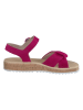Paul Green Leder-Sandalen in Pink