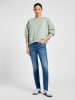 Lee Sweatshirt in Grün