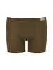 Sloggi 2-delige set: boxershorts bruin/kaki